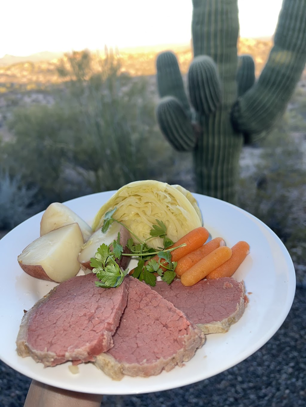 The Palomino | restaurant | 107 E Wickenburg Way, Wickenburg, AZ 85390, USA | 9286844442 OR +1 928-684-4442