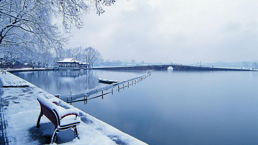 Zhangs Garden | restaurant | 17525 Jamaica Ave, Jamaica, NY 11432, USA | 7182629888 OR +1 718-262-9888