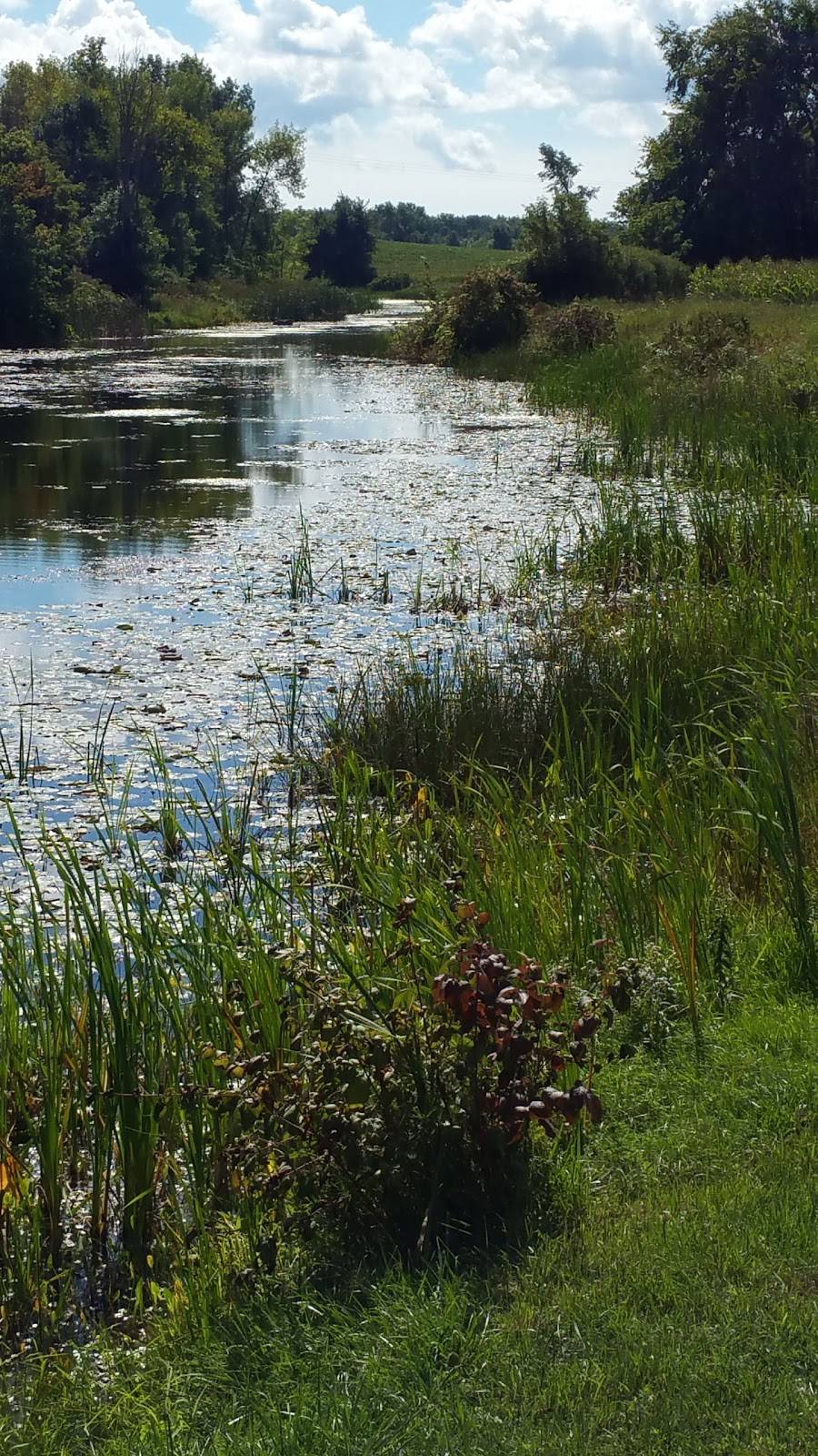 Chubbys Restaurant | restaurant | 2830 County Rd 8, Campbellford, ON K0L 1L0, Canada | 7056532908 OR +1 705-653-2908