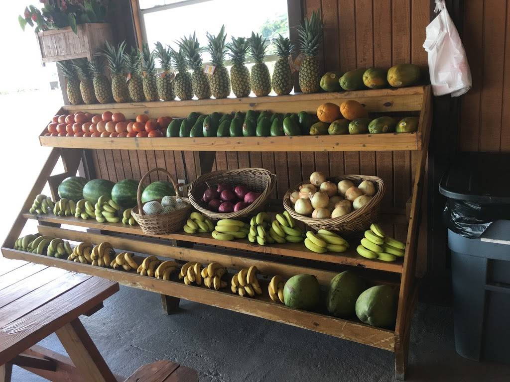 Country Fruits & Juices | restaurant | Miami, FL 33196, USA | 7863260115 OR +1 786-326-0115