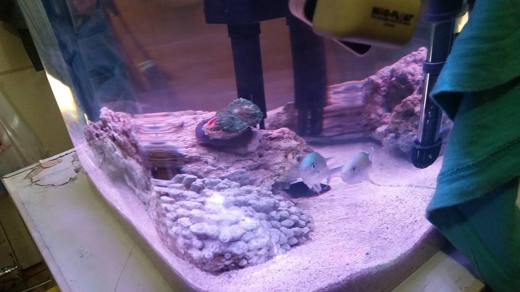 Sabor Centro Americano | meal delivery | 12 Central Ave, Chelsea, MA 02150, USA | 6178840808 OR +1 617-884-0808