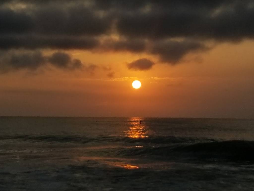 Aloha To Go- St. Pete | restaurant | 19711 Gulf Blvd, Indian Shores, FL 33785, USA | 7278733900 OR +1 727-873-3900