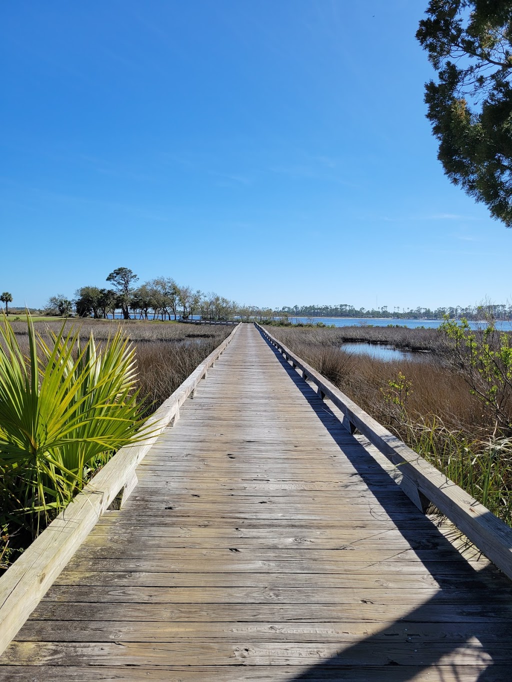 Bay Point Golf Club | restaurant | 4701 Bay Point Rd, Panama City, FL 32408, USA | 8502356950 OR +1 850-235-6950