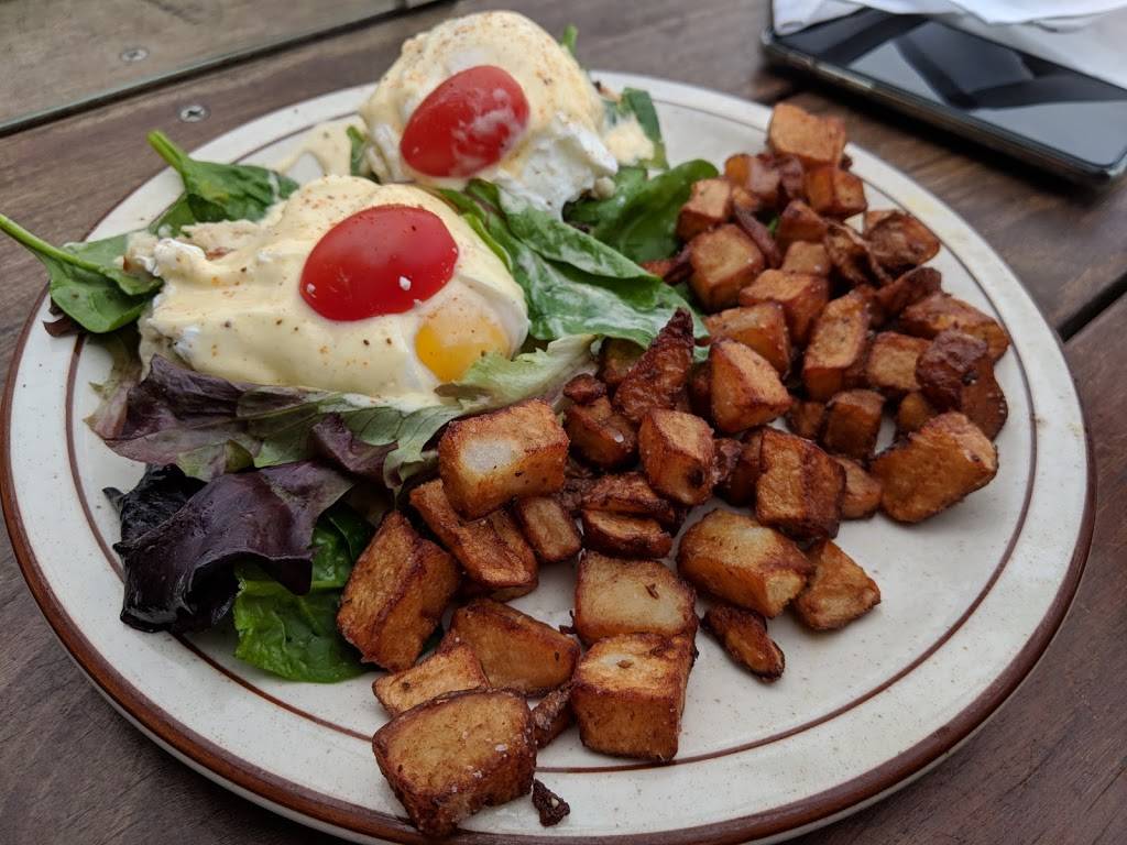 OB Surf Lodge | restaurant | 5083 Santa Monica Ave Suite 1F, San Diego, CA 92107, USA | 6199555475 OR +1 619-955-5475