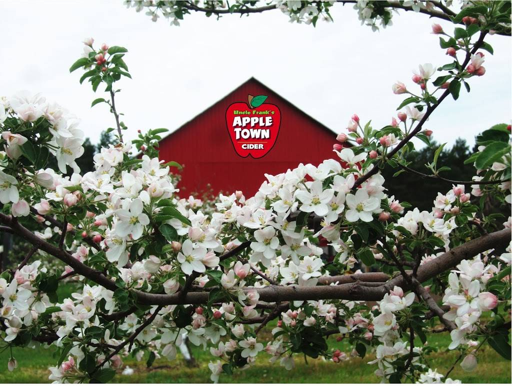 Insight Restaurant Consulting | restaurant | 6879 Driftwood Dr, Petoskey, MI 49770, USA | 2318389291 OR +1 231-838-9291