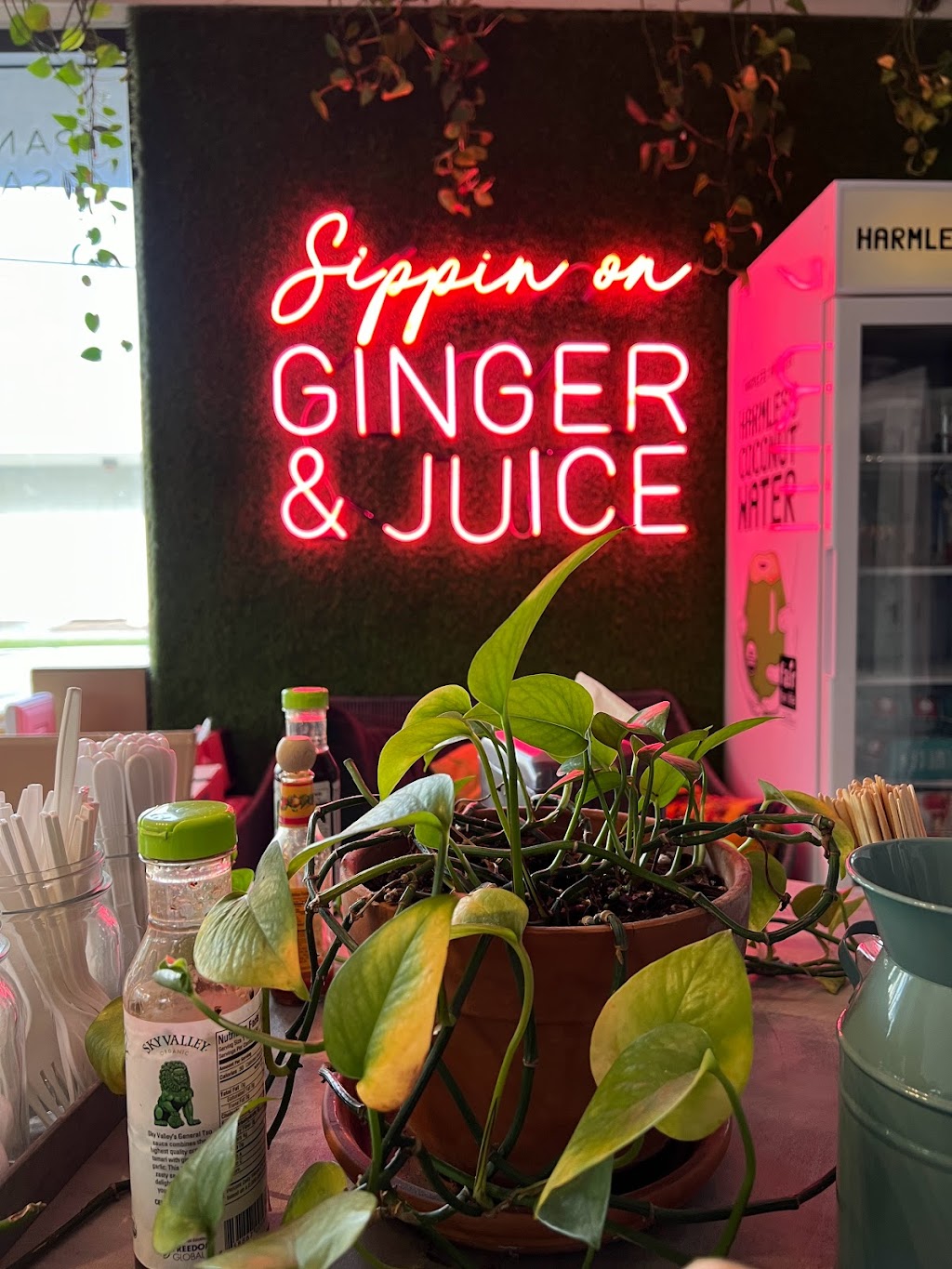 JB&C Juice Bar & Cafe | cafe | 924 N Flagler Dr, Fort Lauderdale, FL 33304, USA | 9543682718 OR +1 954-368-2718