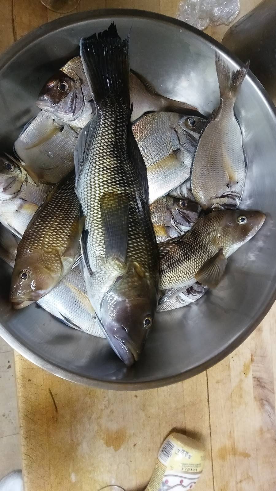 Quattros Italian Restaurant | restaurant | 14 Water St, Guilford, CT 06437, USA | 2034536575 OR +1 203-453-6575