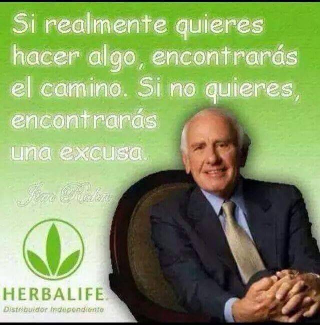 Fitness team Linzy P.nutrition | restaurant | 1671 E Oakton St, Des Plaines, IL 60018, USA | 8476912658 OR +1 847-691-2658