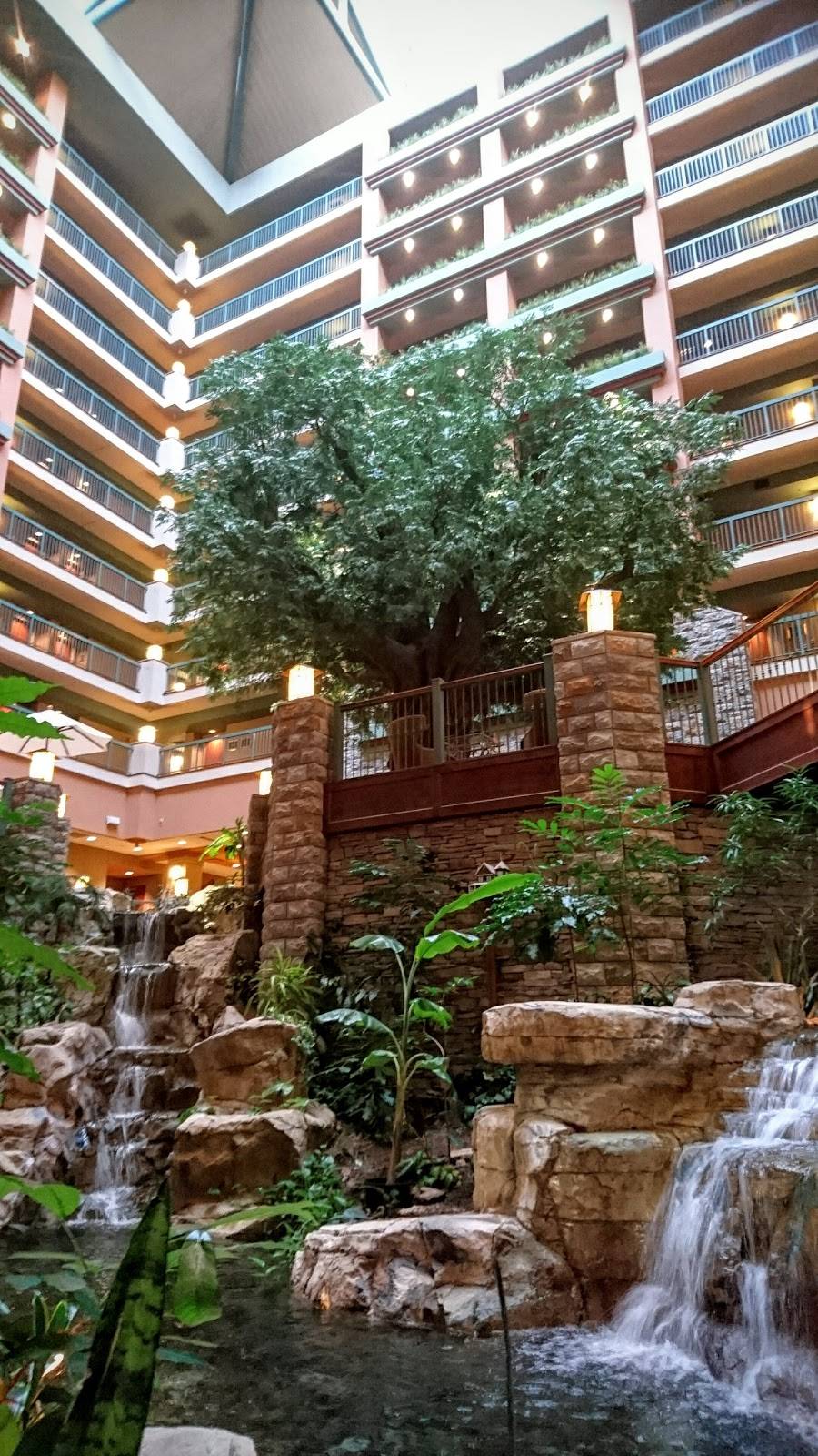 Chateau Grille | restaurant | 415 N State Hwy 265, Branson, MO 65616, USA | 4172431777 OR +1 417-243-1777