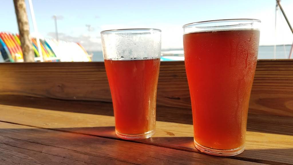 Hi & Dry Grill | restaurant | 61 Causeway Blvd, Dunedin, FL 34698, USA | 7275104445 OR +1 727-510-4445