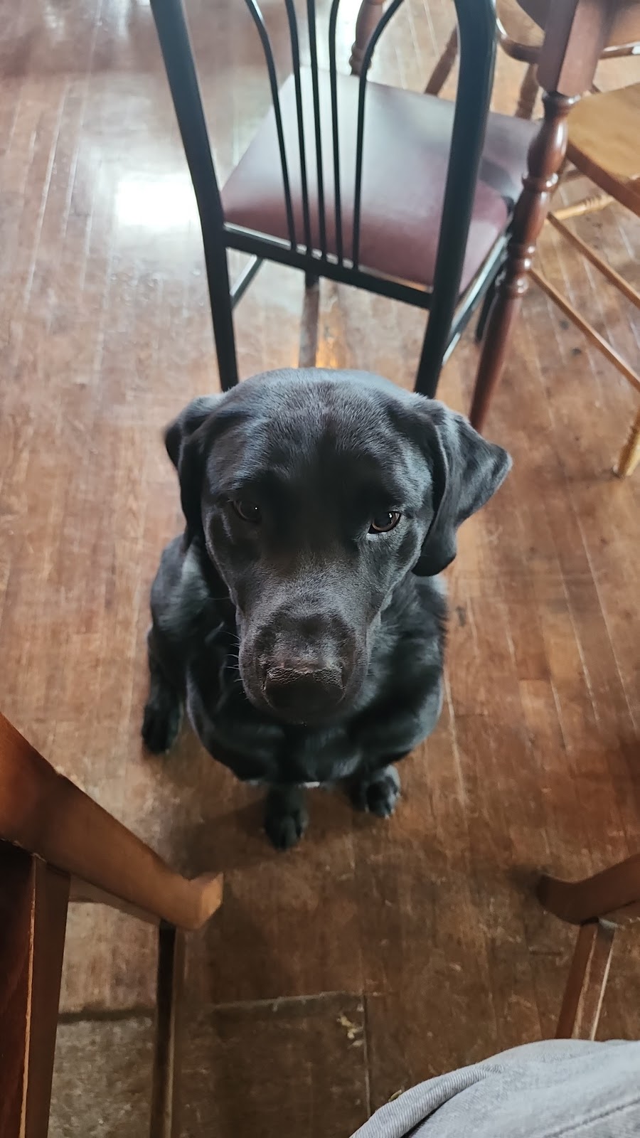 Jennies Place | restaurant | 101 1st St, Orient, IA 50858, USA | 5154687373 OR +1 515-468-7373