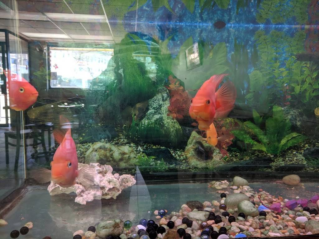 Chef Hong Kitchen | restaurant | 55 Victory Blvd, Staten Island, NY 10301, USA | 7182733636 OR +1 718-273-3636