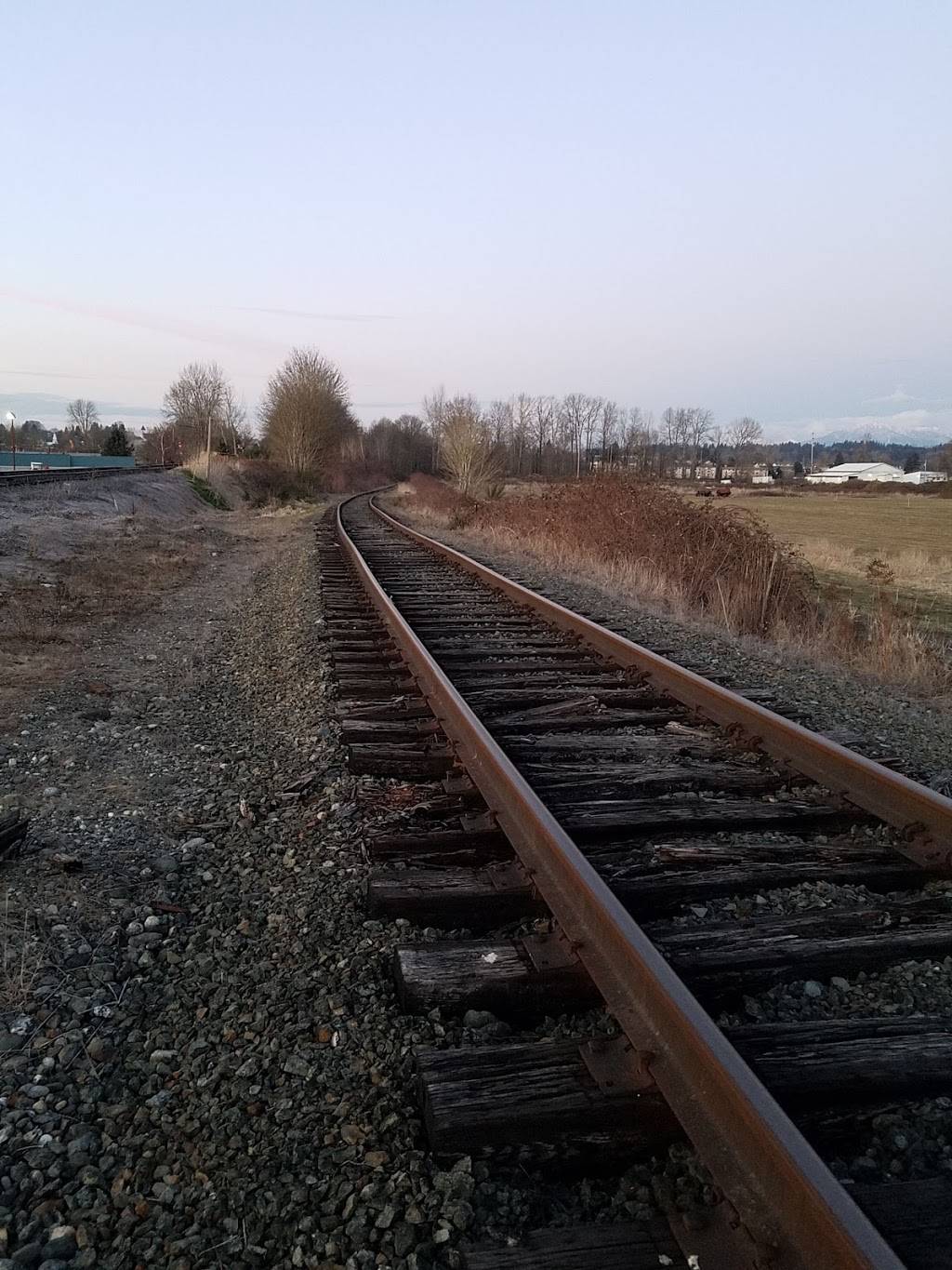 Tacos Monte Alban | restaurant | Snohomish, WA 98296, USA | 4256330005 OR +1 425-633-0005