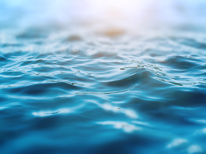 NautiSalt Boating & Fishing Charters | restaurant | 955 Ferry Blvd, Stratford, CT 06614, USA | 7027153880 OR +1 702-715-3880