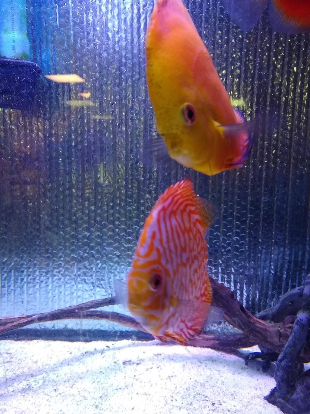 No. 1 Chinese Restaurant | meal delivery | 26 Queen City Ave, Manchester, NH 03103, USA | 6032327552 OR +1 603-232-7552