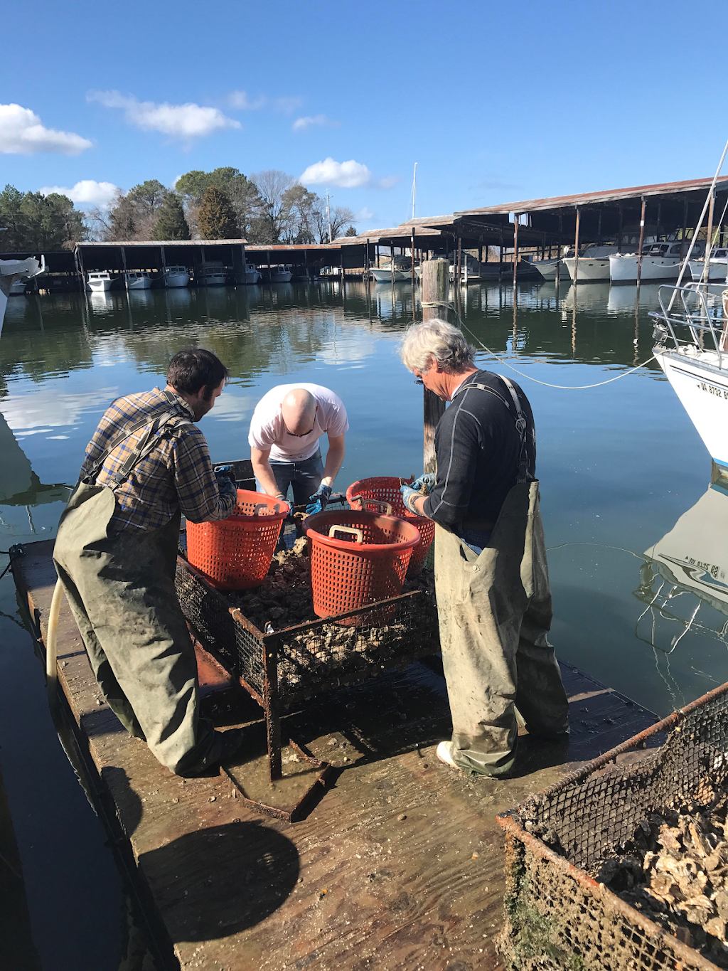 Double T Oyster Ranch | restaurant | 18521 Herring Creek Rd, Tall Timbers, MD 20690, USA | 2404343690 OR +1 240-434-3690