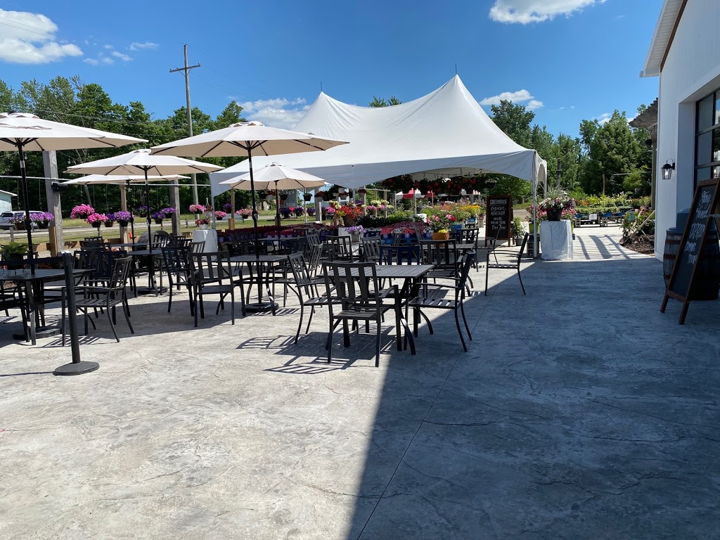 Blakes Backyard Almont | bakery | 5600 Van Dyke Rd, Almont, MI 48003, USA | 8107983251 OR +1 810-798-3251