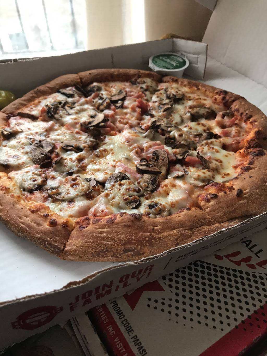 Papa Johns Pizza | restaurant | 189 Avenue U, Brooklyn, NY 11223, USA | 7183720000 OR +1 718-372-0000