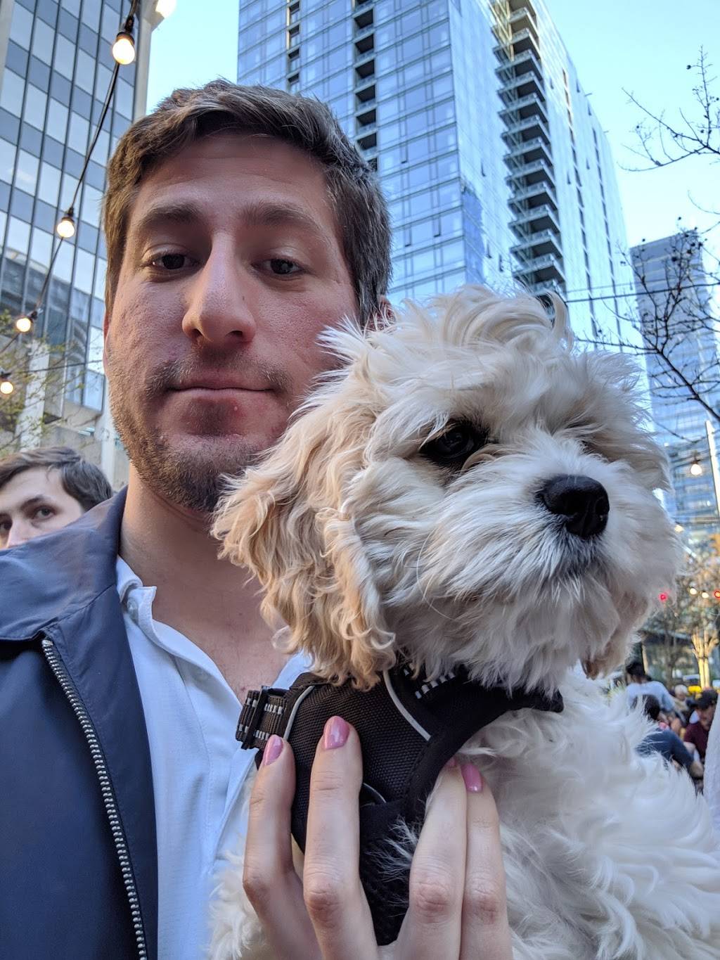 Continental Beer Garden | restaurant | 1901 Fort Myer Dr, Arlington, VA 22209, USA | 7034657675 OR +1 703-465-7675