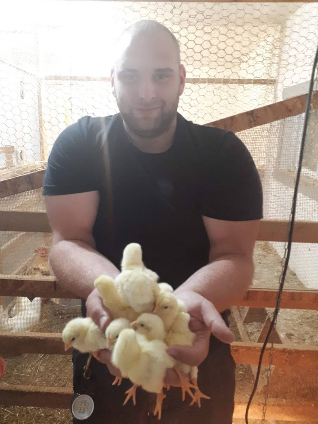 Cabane A Sucre De LErabliere | restaurant | 1443, ch de la Lièvre S, Mont-Laurier, QC J9L 3G3, Canada | 8196232176 OR +1 819-623-2176