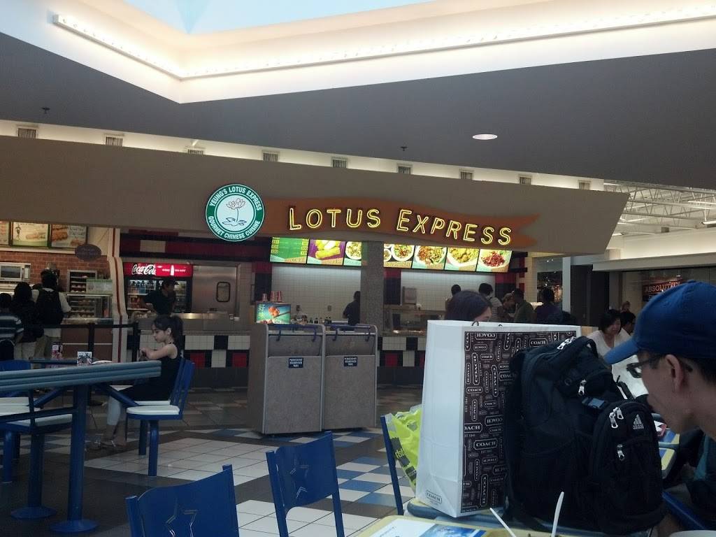 Lotus Express | restaurant | 1938 Military Rd, Niagara Falls, NY 14304, USA | 7162985688 OR +1 716-298-5688
