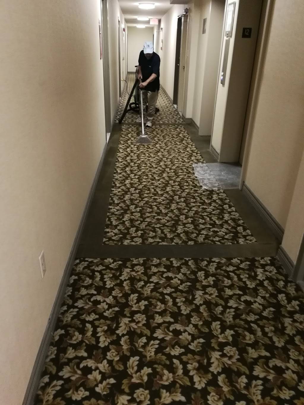 Aleezas Pizza | restaurant | 1768 Weston Rd, Toronto, ON M9V 1A8, Canada | 6477488020 OR +1 647-748-8020