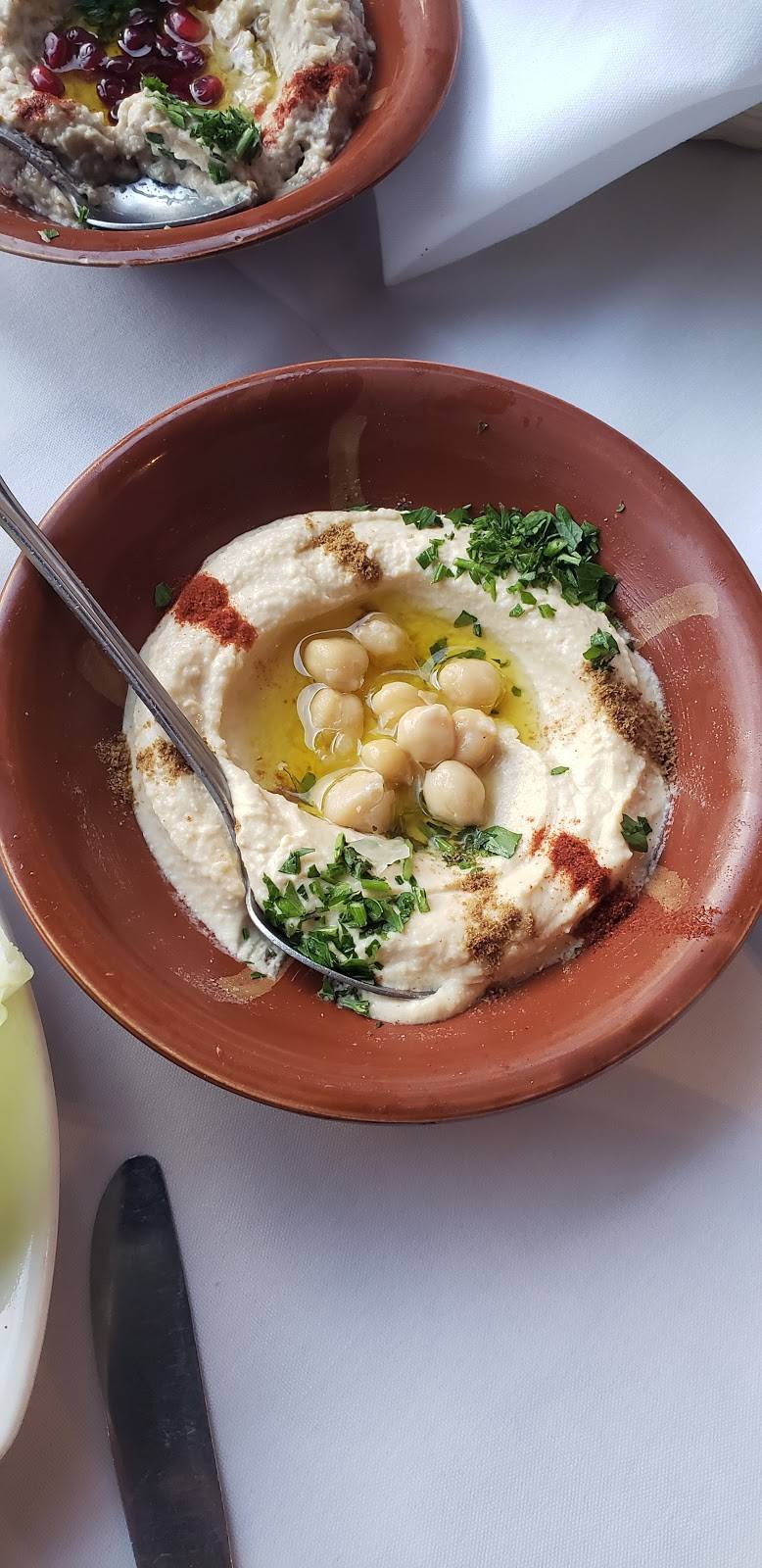 Bacchus of Lebanon | restaurant | 7945 Norfolk Ave, Bethesda, MD 20814, USA | 3016571722 OR +1 301-657-1722