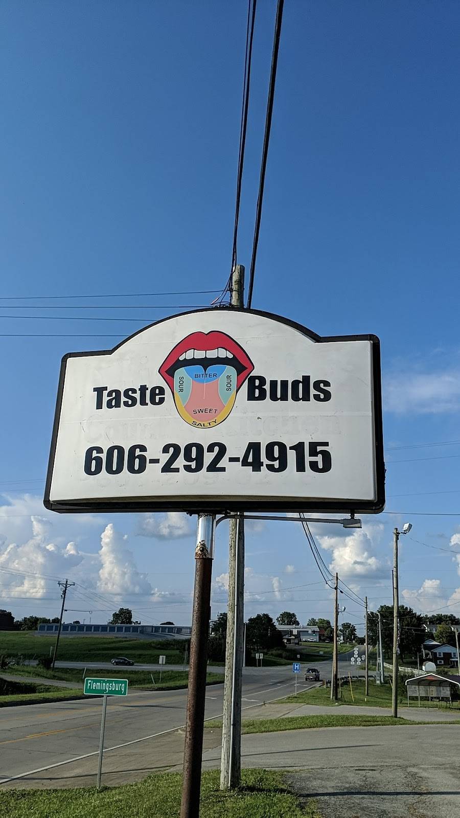 Taste Buds | restaurant | 765 Mt Sterling Rd, Flemingsburg, KY 41041, USA | 6062924915 OR +1 606-292-4915