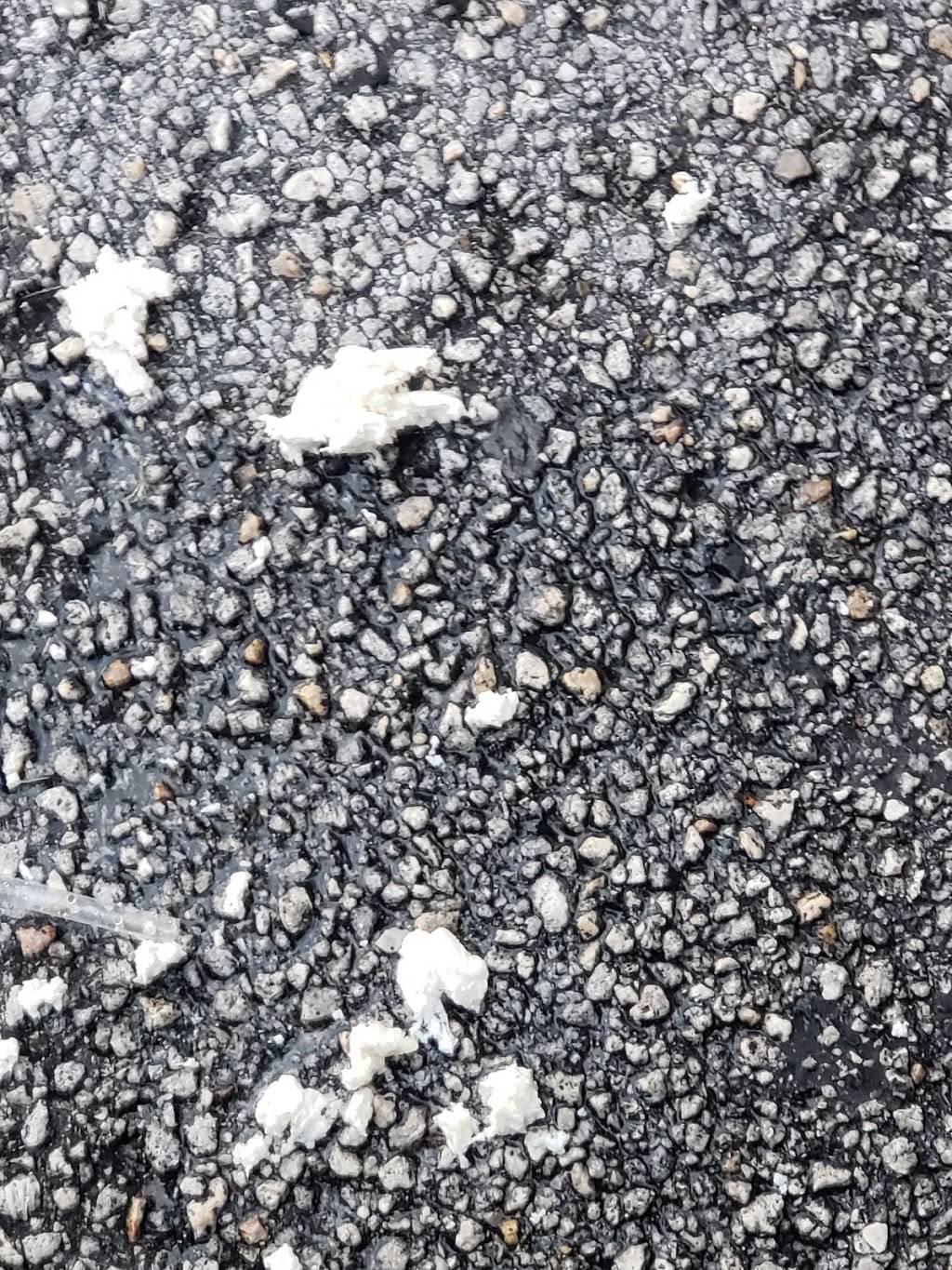 Quesillos Guiliguiste | restaurant | 11323 W Flagler St, Miami, FL 33174, USA | 3052258877 OR +1 305-225-8877