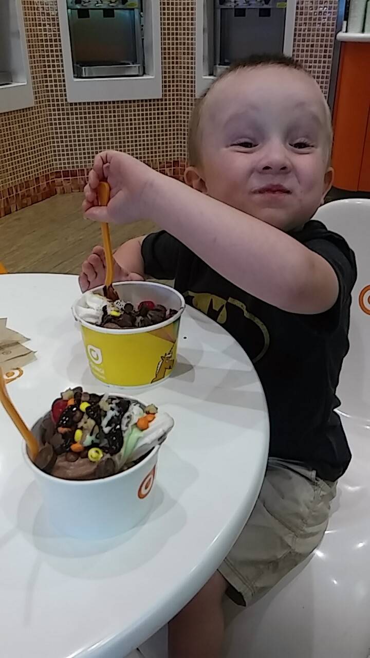 Orange Leaf Frozen Yogurt | restaurant | 38 Vanderbilt Ave, Norwood, MA 02062, USA | 7817628020 OR +1 781-762-8020