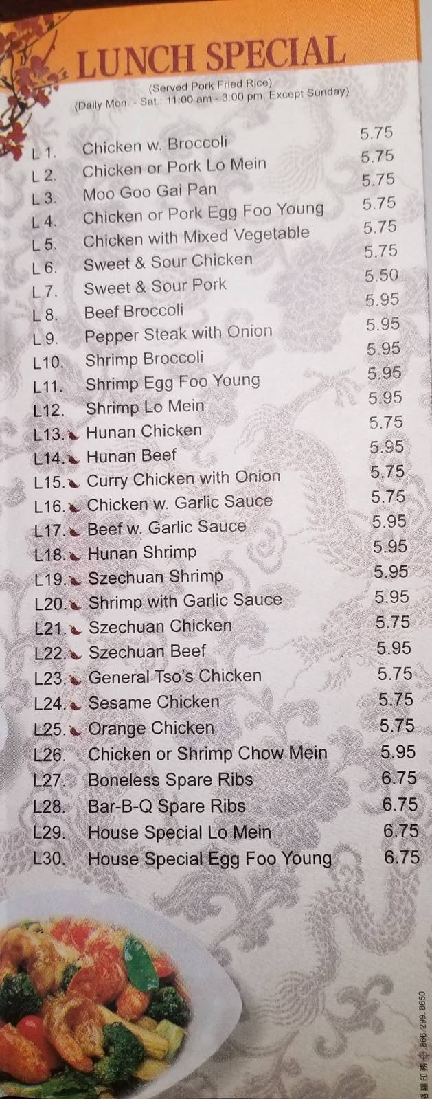 Great China | restaurant | 1051 Walker Rd, Dover, DE 19904, USA | 3026781886 OR +1 302-678-1886