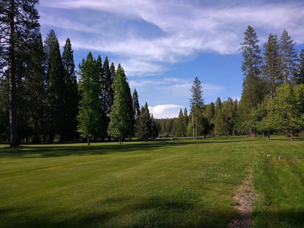 Twain Harte Golf Course | restaurant | 22909 Meadow Dr, Twain Harte, CA 95383, USA | 2095863131 OR +1 209-586-3131