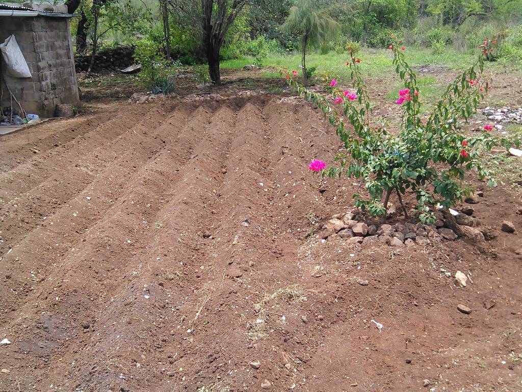 La Sabrosita Abarrotes & Tqr | restaurant | 9135 Airline Dr, Houston, TX 77037, USA | 2814058911 OR +1 281-405-8911