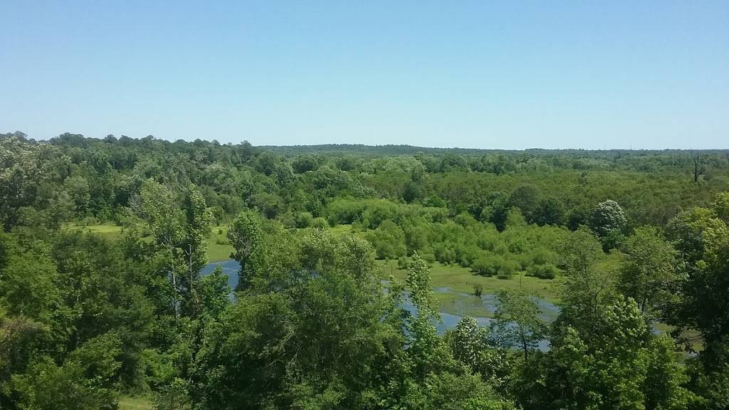 Hot Wings Plus | restaurant | 3479 Pio Nono Ave, Macon, GA 31206, USA | 4782576870 OR +1 478-257-6870