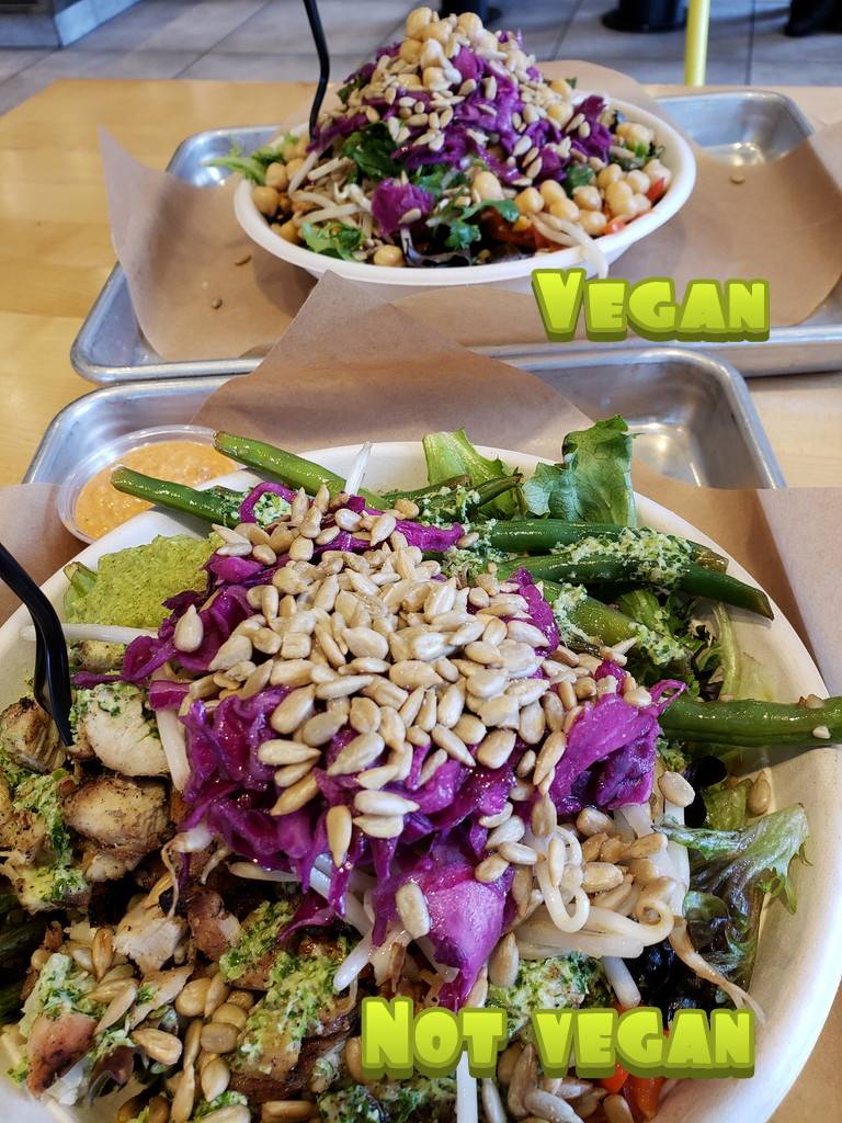 Fresh Griller | restaurant | 2400 E Chapman Ave, Fullerton, CA 92831, USA | 7148821015 OR +1 714-882-1015