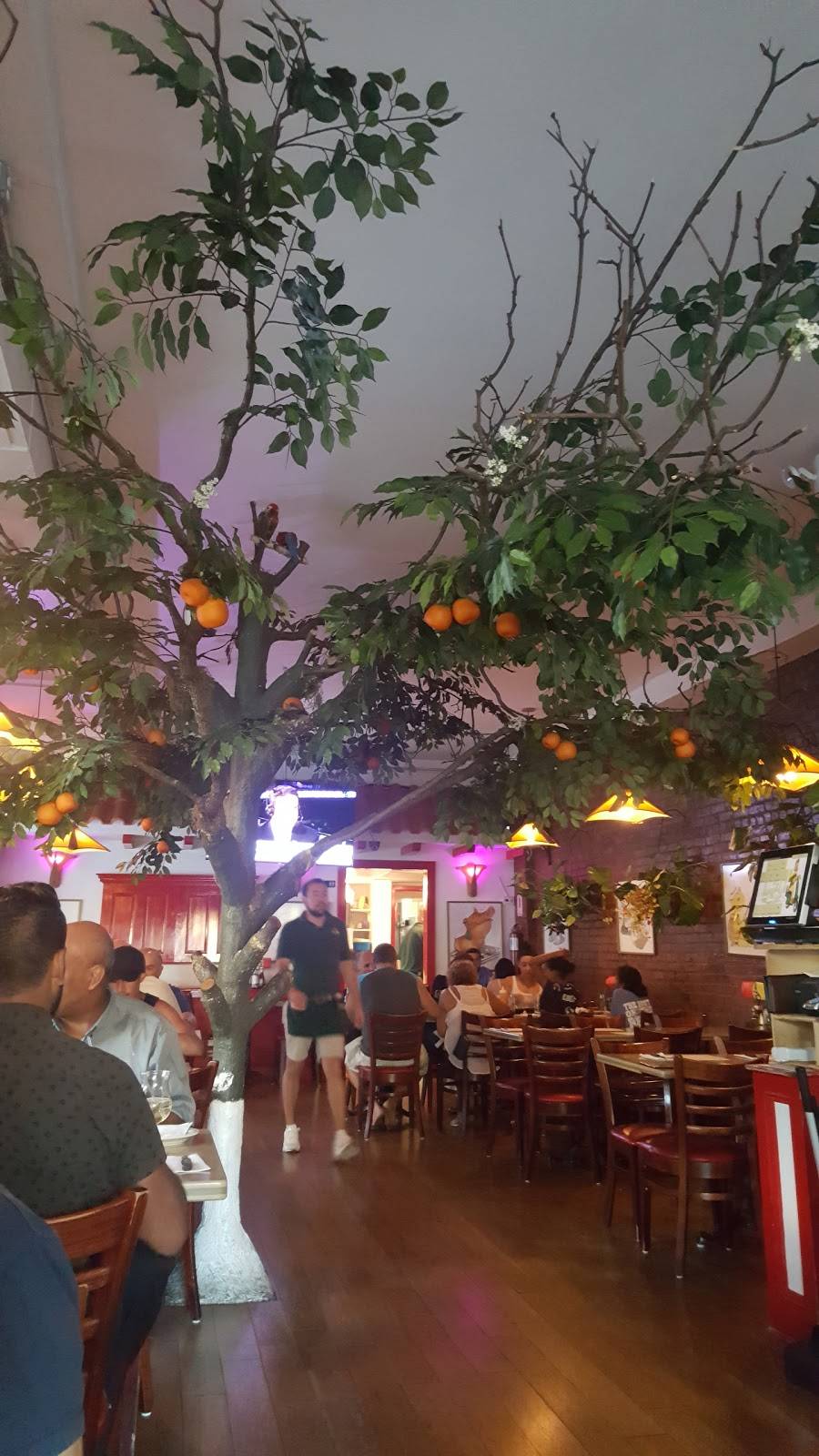 Pollos Mario Steak House & Seafd | restaurant | 6320 Woodhaven Blvd, Flushing, NY 11374, USA | 7185658831 OR +1 718-565-8831