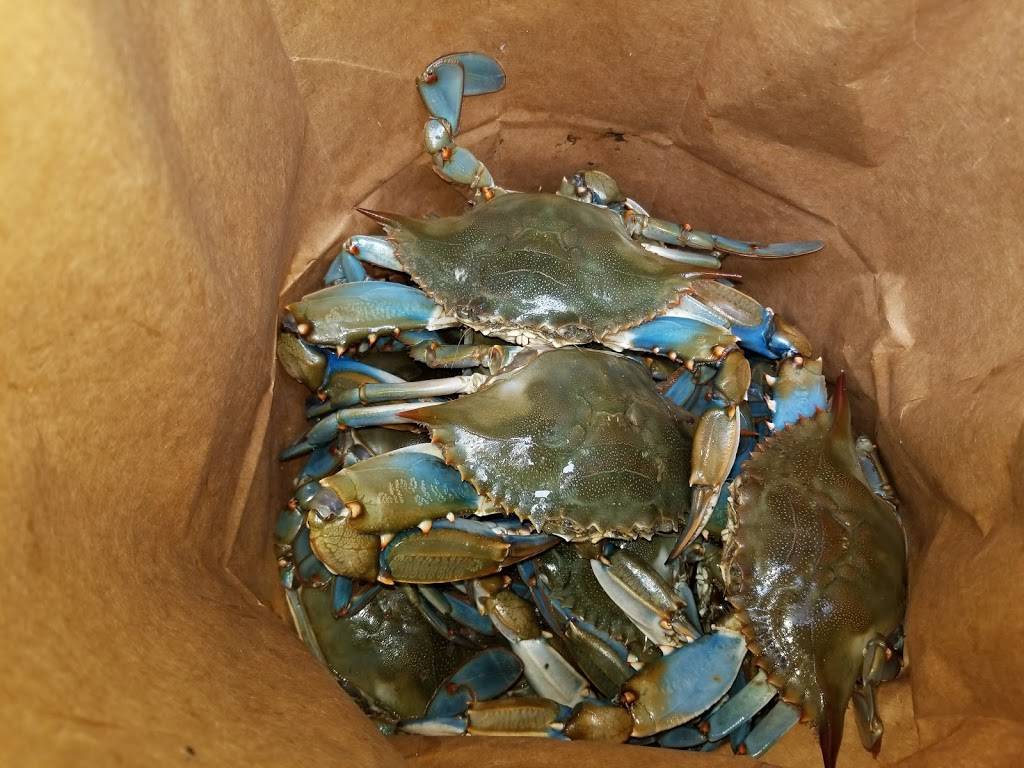 Capt Zeaks Crab House and Seafood | restaurant | 192 N Dupont Hwy, New Castle, DE 19720, USA | 3023222448 OR +1 302-322-2448