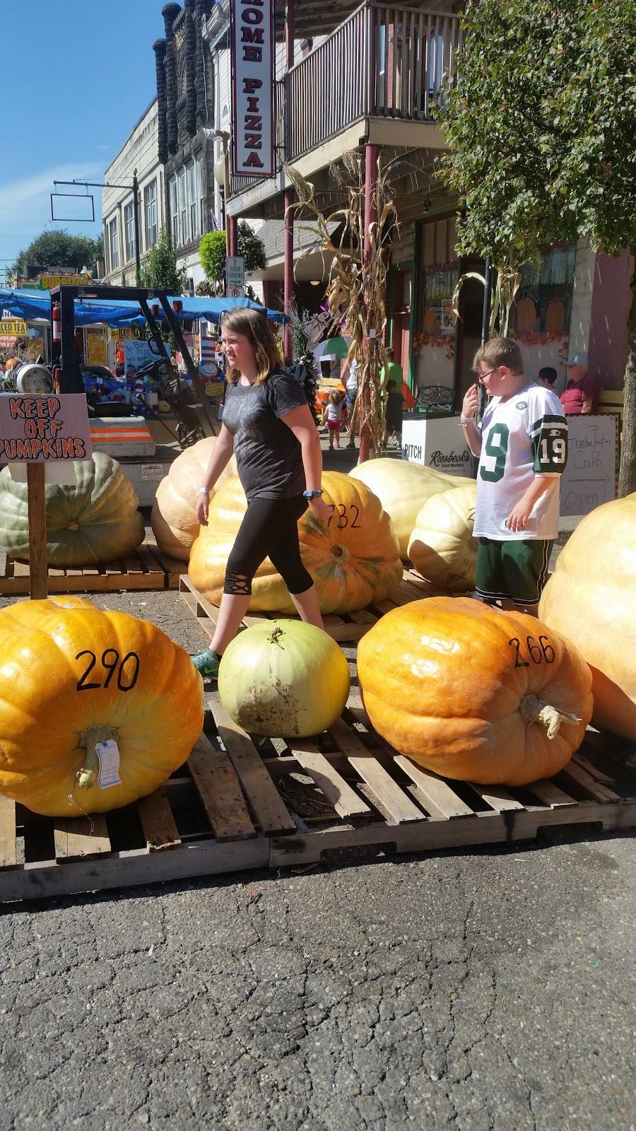 Home Pizza | restaurant | 115 W Main St, Barnesville, OH 43713, USA | 7404253322 OR +1 740-425-3322