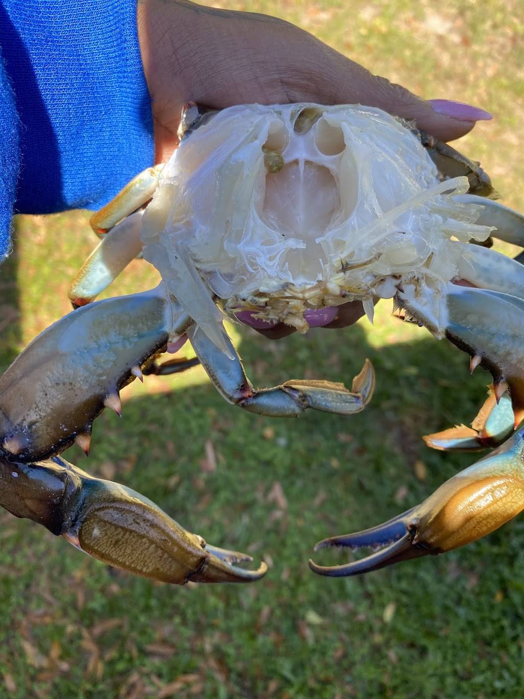 Tampa Blu | restaurant | 6844 N 50th St, Tampa, FL 33610, USA | 8133005032 OR +1 813-300-5032