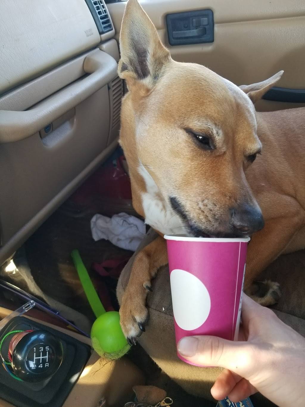 Starbucks | cafe | 201 W Roosevelt Rd, Lombard, IL 60148, USA | 6309531801 OR +1 630-953-1801