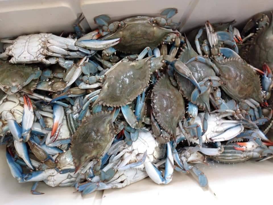 Port Of Brownsville Seafood | restaurant | 3703 W Martin St, San Antonio, TX 78207, USA | 2102339220 OR +1 210-233-9220