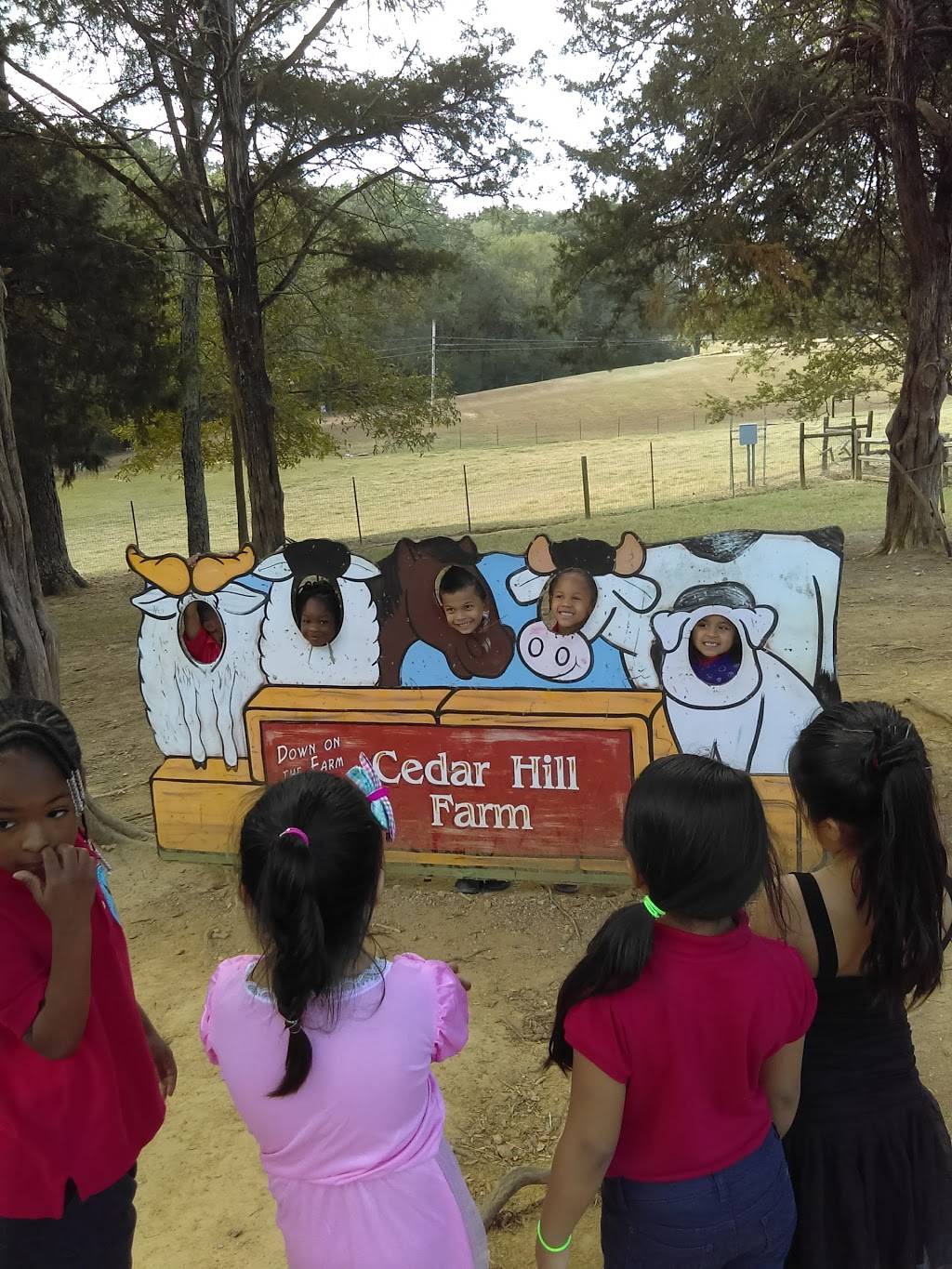 Cedar Hill Farm | restaurant | 8 Love Rd, Hernando, MS 38632, USA | 6624292540 OR +1 662-429-2540