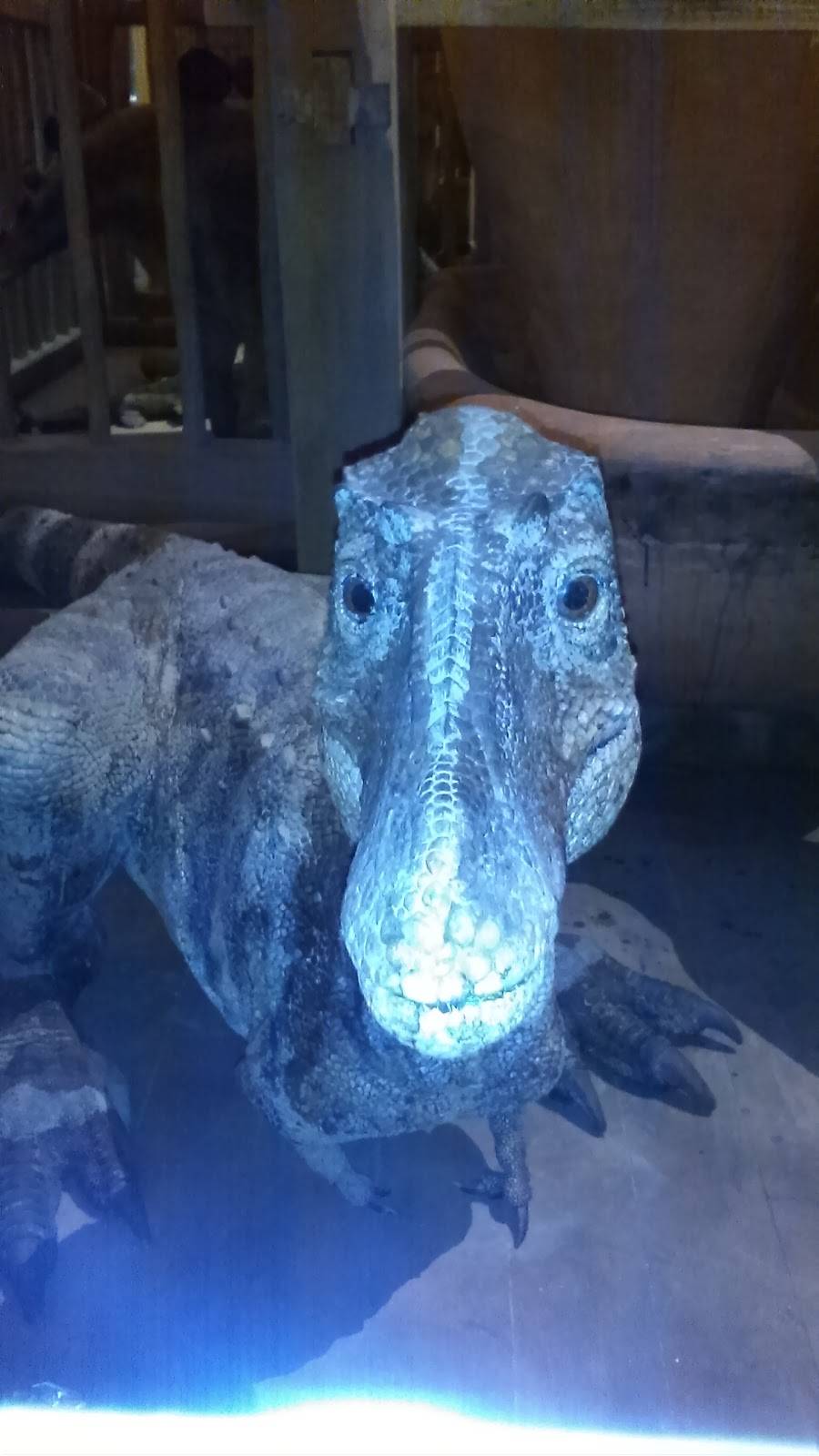 Subway | restaurant | 319 W Main St, Stanton, MI 48888, USA | 9898318171 OR +1 989-831-8171