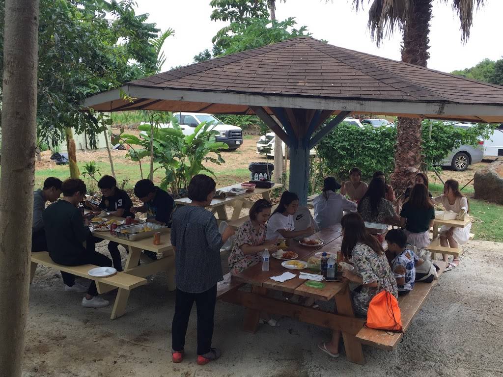 Famous Kahuku Shrimp | restaurant | 67-21 Waialua Beach Rd, Waialua, HI 96791, USA | 8083891173 OR +1 808-389-1173