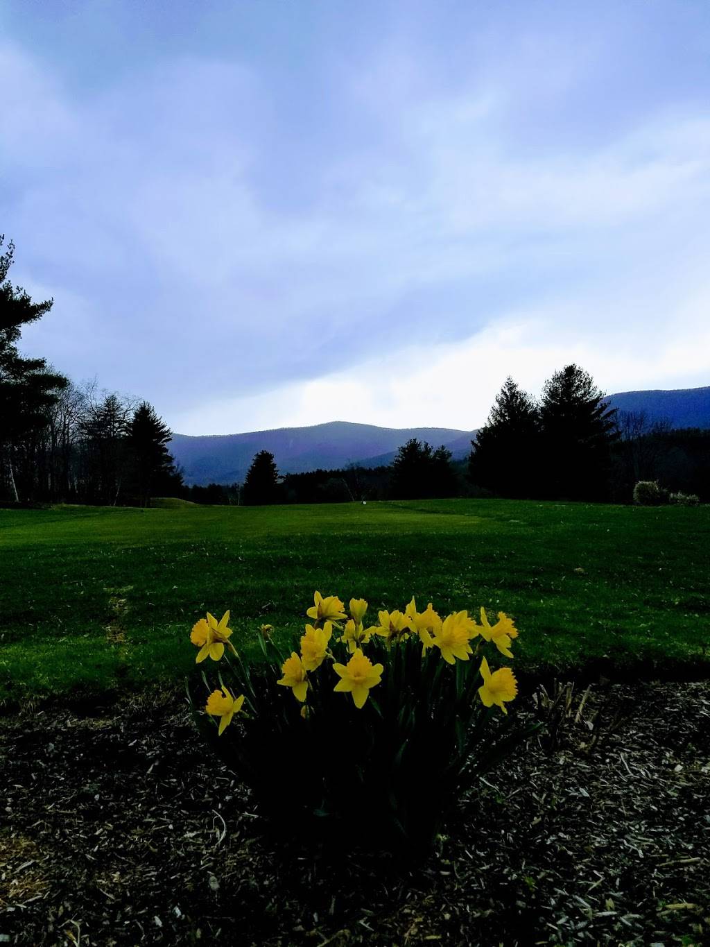 The W Bar + Grill | restaurant | 137 New Ashford Rd, Williamstown, MA 01267, USA | 4134585869 OR +1 413-458-5869