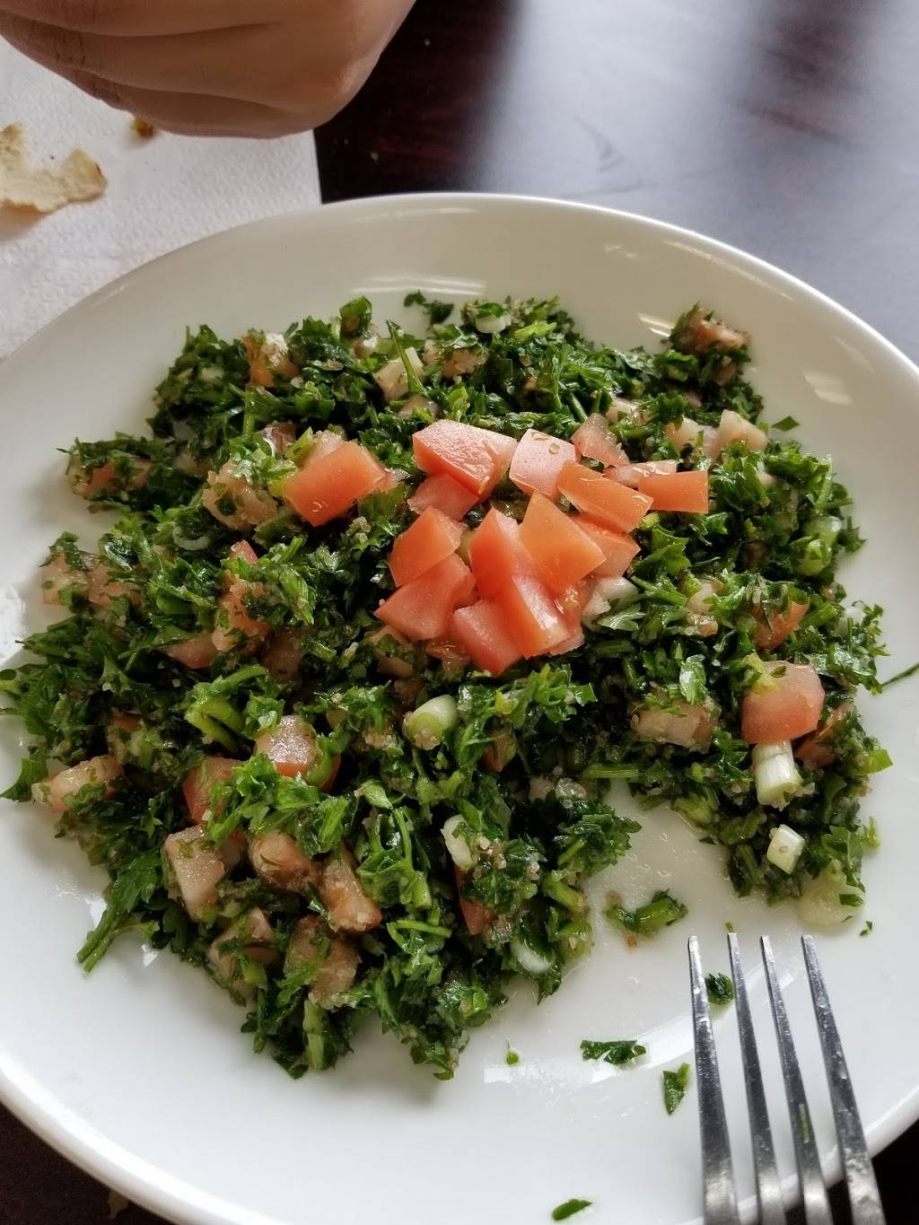 Mashawi Lebanese Kabob | restaurant | 956 Richmond Ave, Staten Island, NY 10314, USA | 9178300038 OR +1 917-830-0038