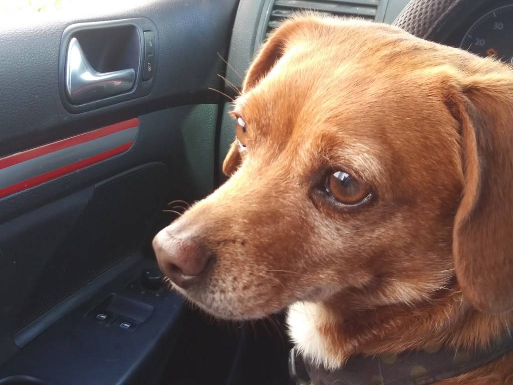 Bakers Drive-Thru | restaurant | 15083 Bear Valley Rd, Hesperia, CA 92345, USA | 9098845233 OR +1 909-884-5233