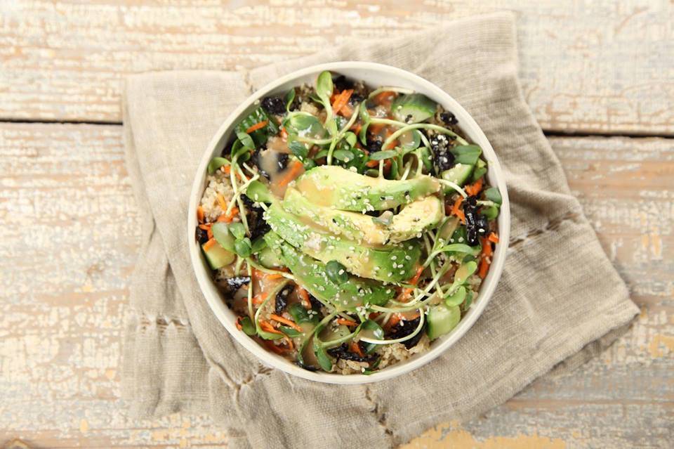 Eco Bean Cafe | cafe | 688 Pine St, Burlington, VT 05401, USA | 8024972075 OR +1 802-497-2075