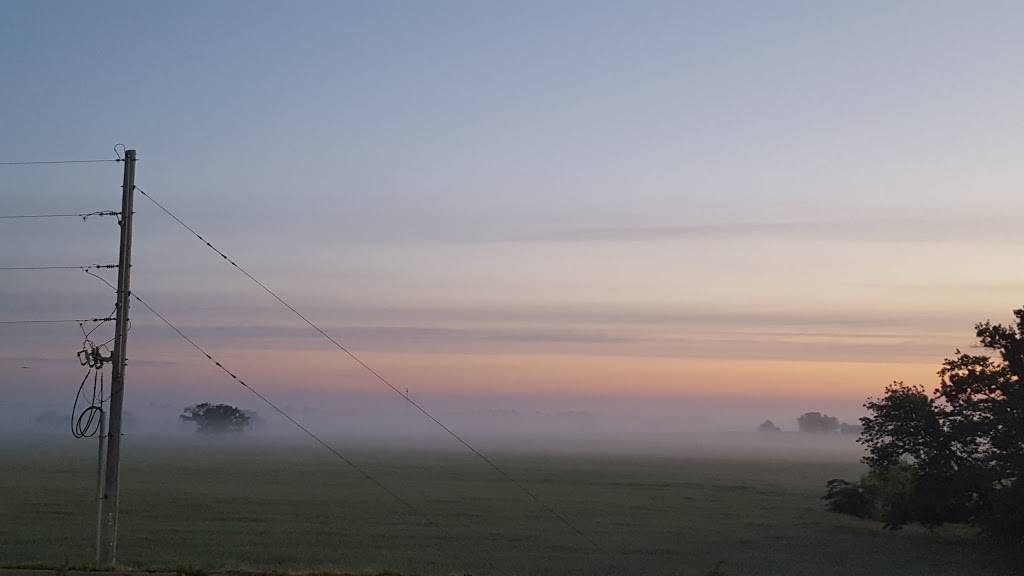 A&W Restaurant | restaurant | 303 S, MO-13, Lowry City, MO 64763, USA | 4176447850 OR +1 417-644-7850