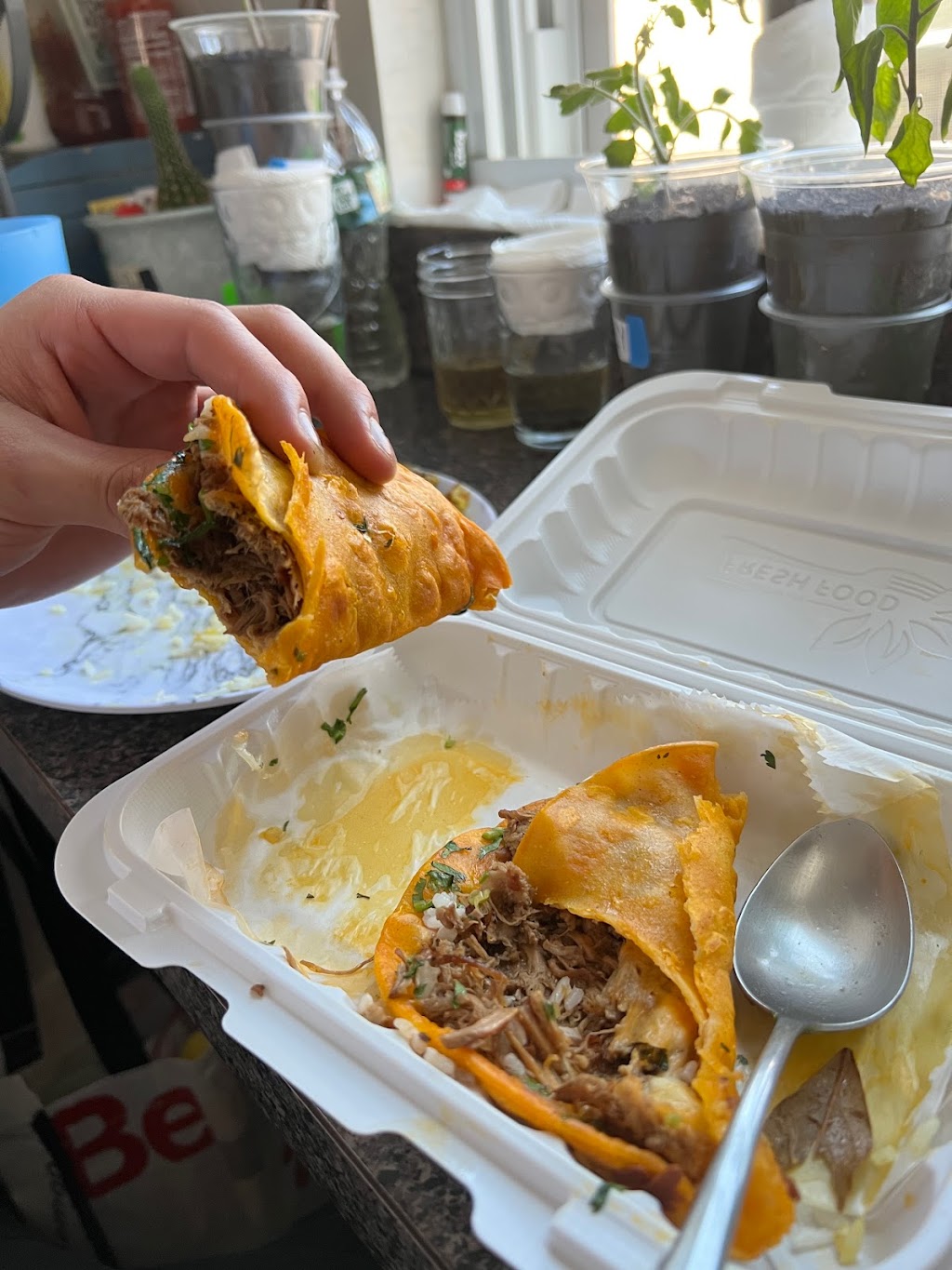 THE Birria on the block | restaurant | 104-02 Northern Blvd, Queens, NY 11368, USA | 7184409888 OR +1 718-440-9888